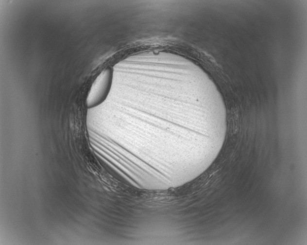 X0000052981158200508051033