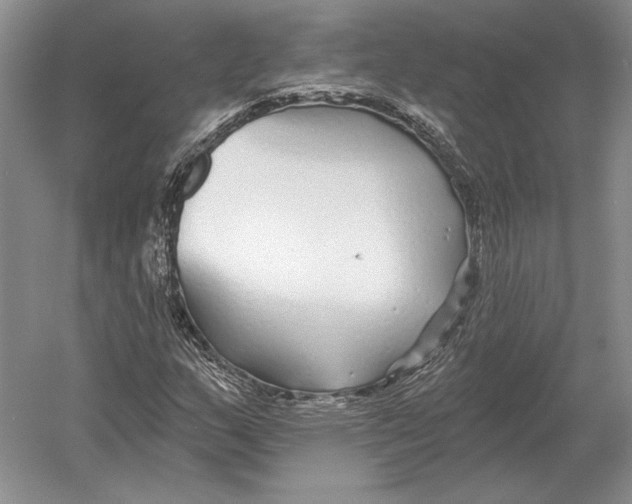 X0000052981159200508051033