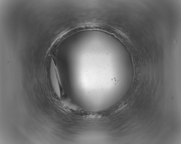 X0000052981160200508051033