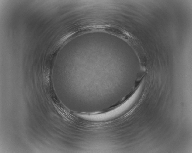 X0000052981161200508051033