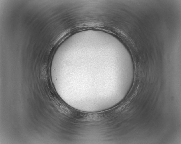 X0000052981162200508051033