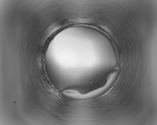 X0000052981163200508051033