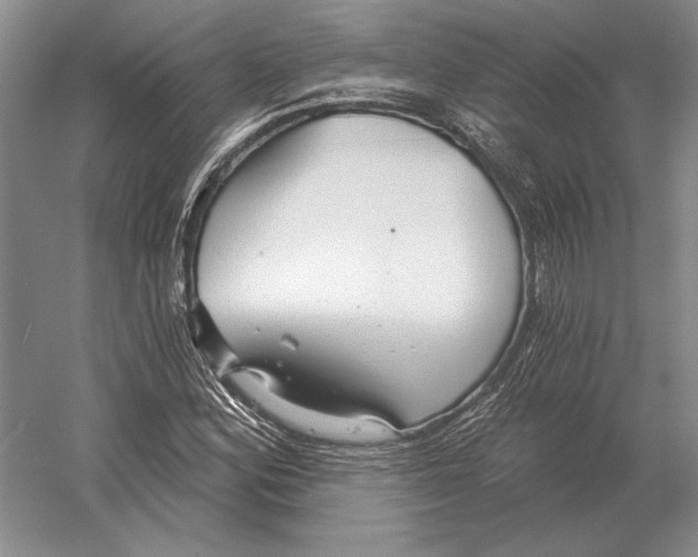 X0000052981164200508051033