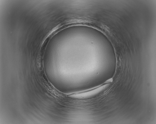 X0000052981165200508051033