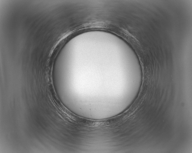 X0000052981166200508051033