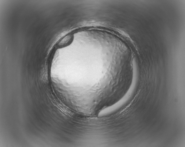 X0000052981167200508051033