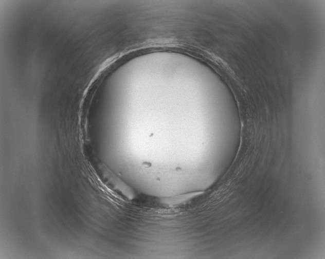 X0000052981168200508051033