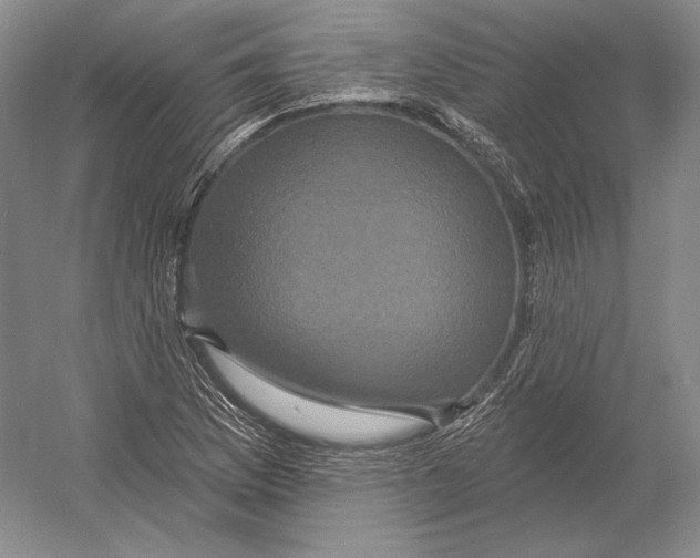 X0000052981169200508051033