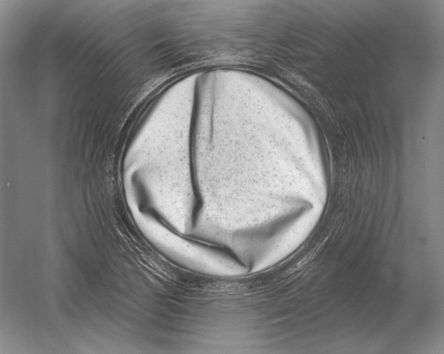 X0000052981170200508051033