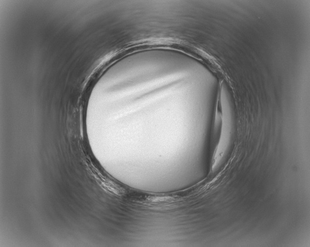 X0000052981171200508051033