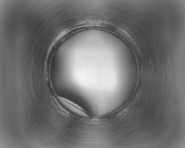 X0000052981172200508051033