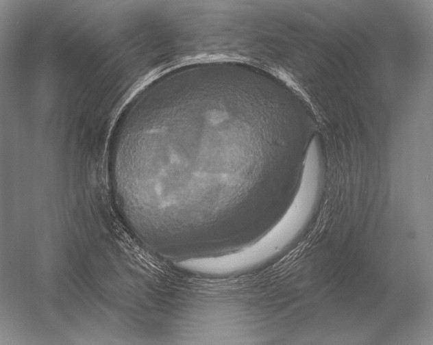 X0000052981173200508051033