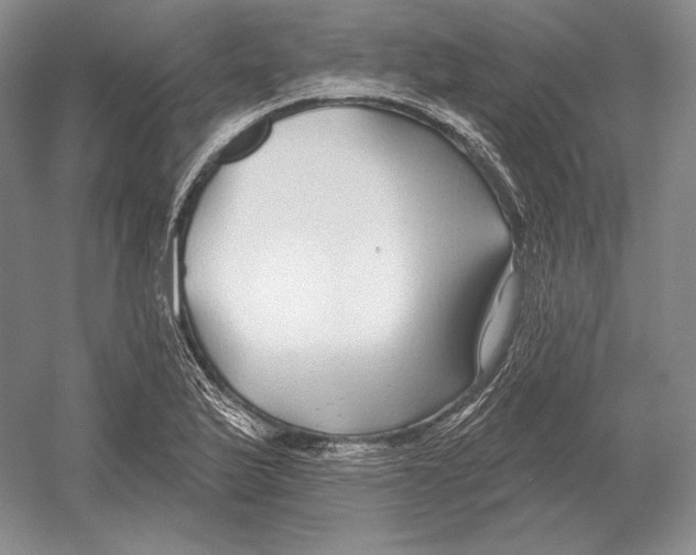 X0000052981175200508051033