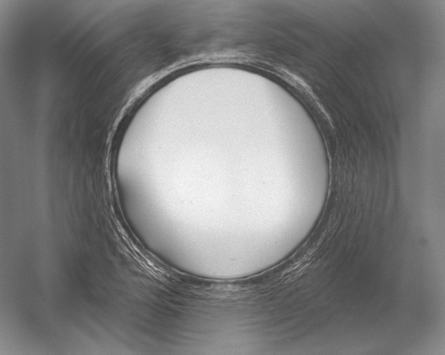 X0000052981176200508051033