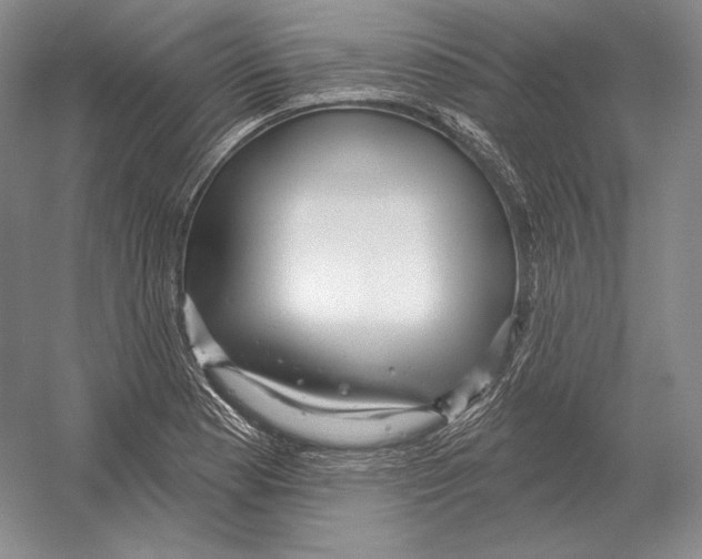 X0000052981177200508051033