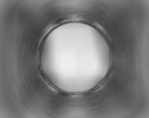 X0000052981178200508051033