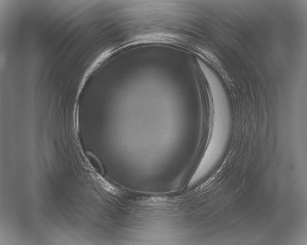 X0000052981180200508051033