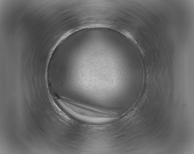 X0000052981181200508051033