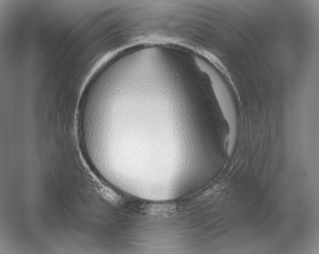 X0000052981183200508051033