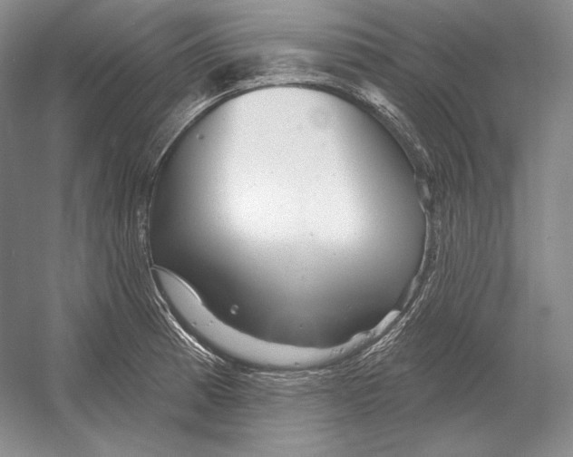 X0000052981185200508051033