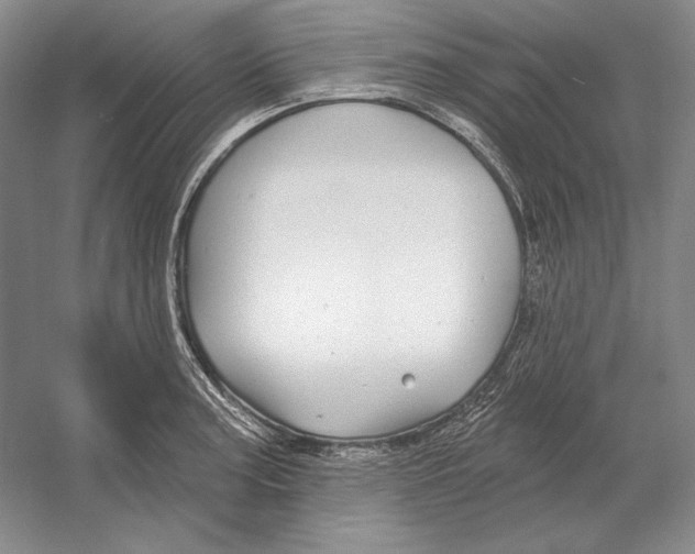 X0000052981187200508051033