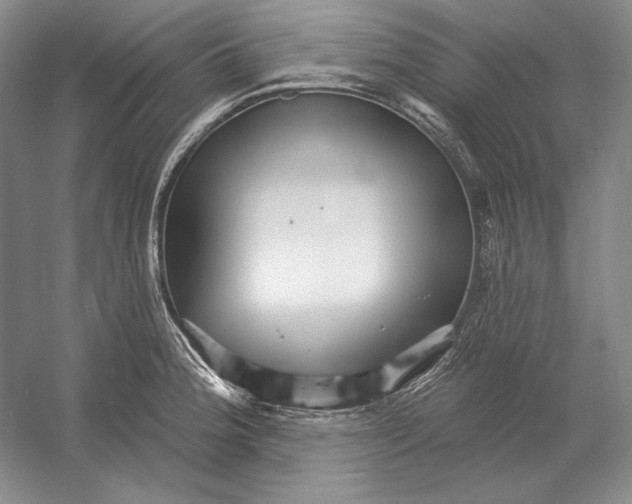 X0000052981188200508051033