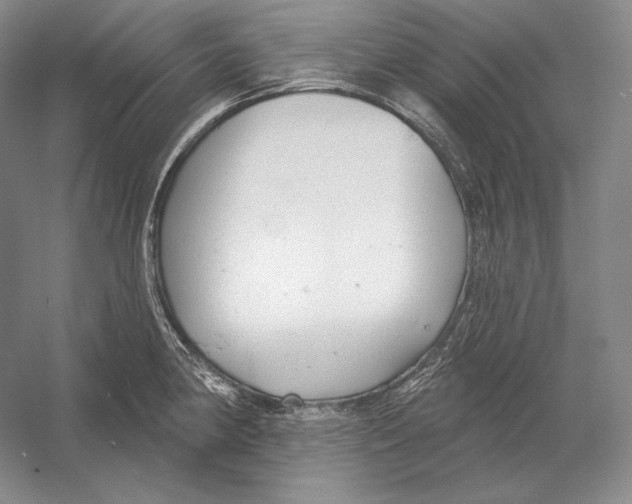 X0000052981190200508051033