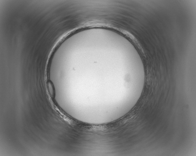 X0000052981191200508051033