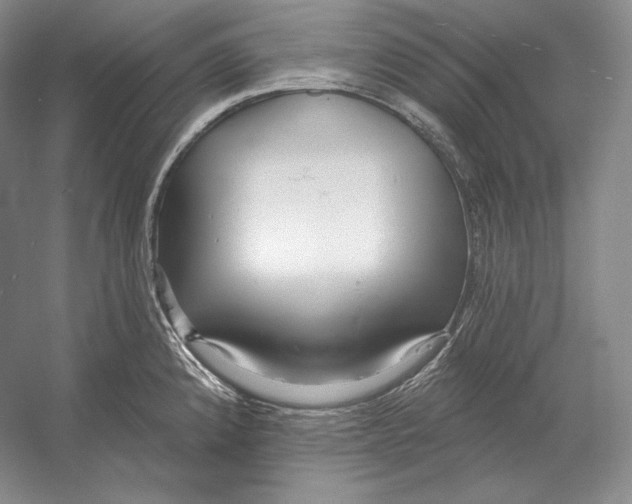 X0000052981192200508051033