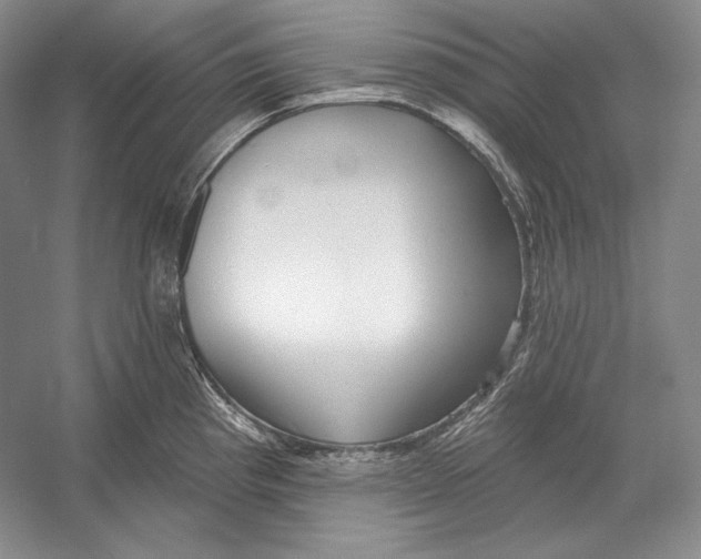 X0000052981193200508051033