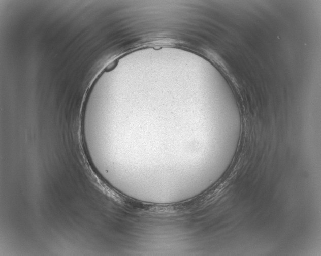 X0000052981194200508051033