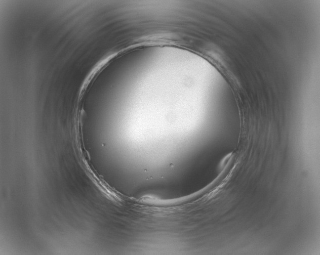 X0000052981196200508051033