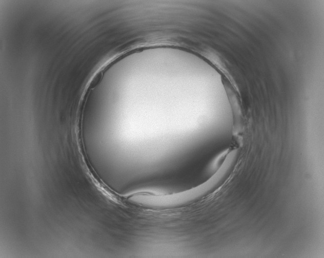 X0000052981197200508051033