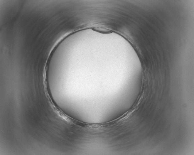 X0000052981198200508051033