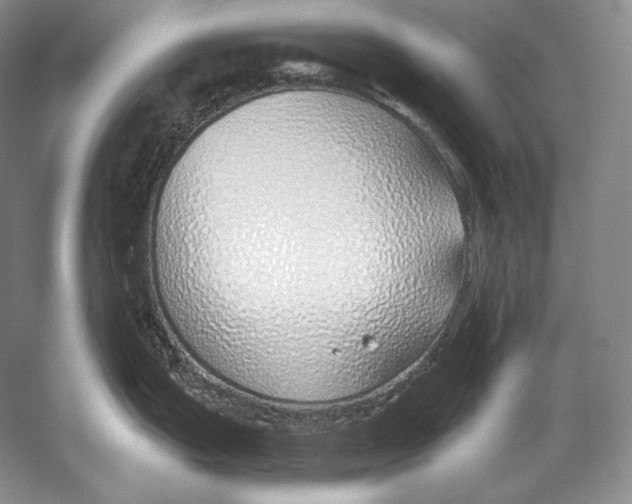 X0000052981199200508051033