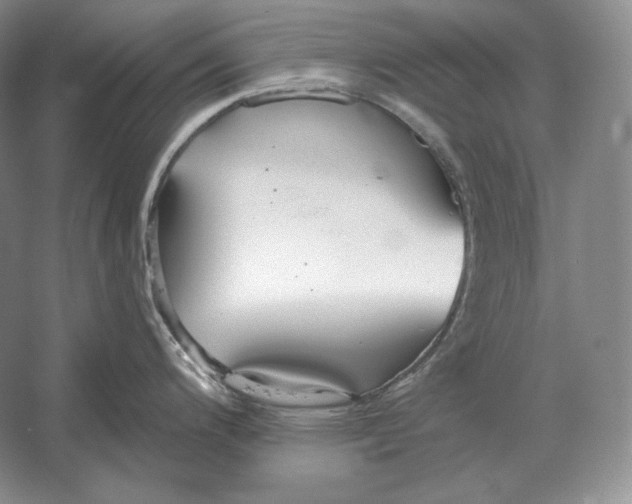 X0000052981200200508051033