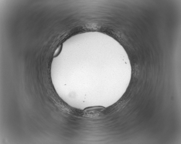 X0000052981201200508051032