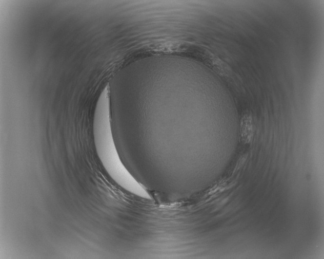 X0000052981202200508051032