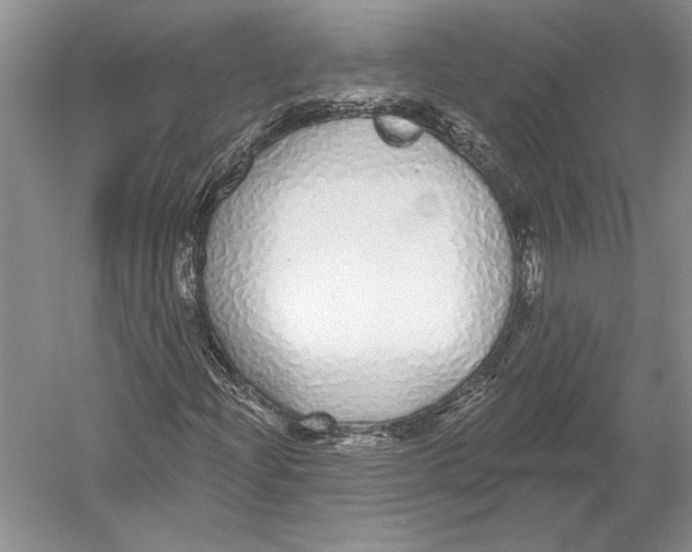 X0000052981204200508051032