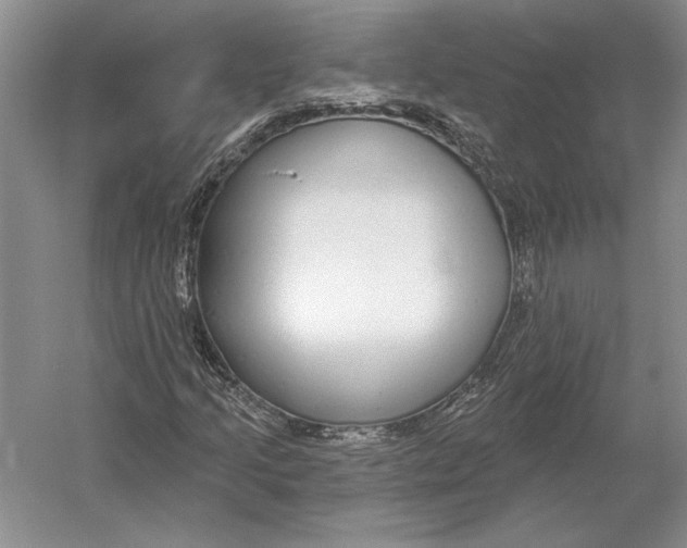 X0000052981205200508051032