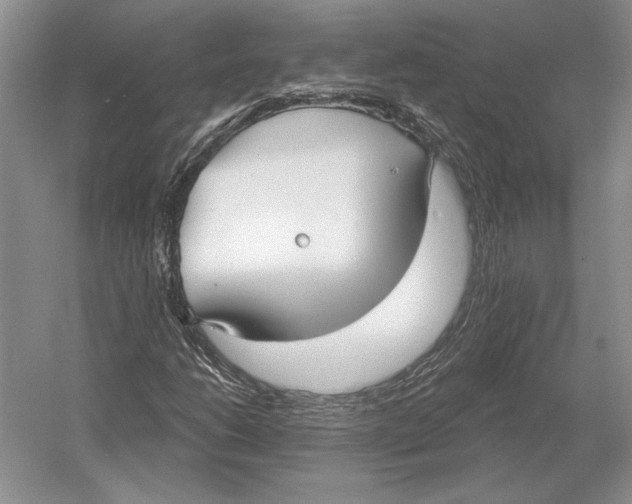 X0000052981206200508051032