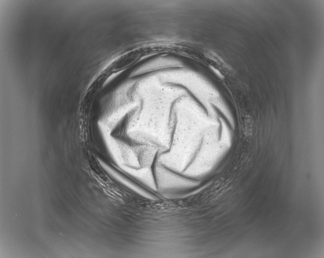 X0000052981208200508051032