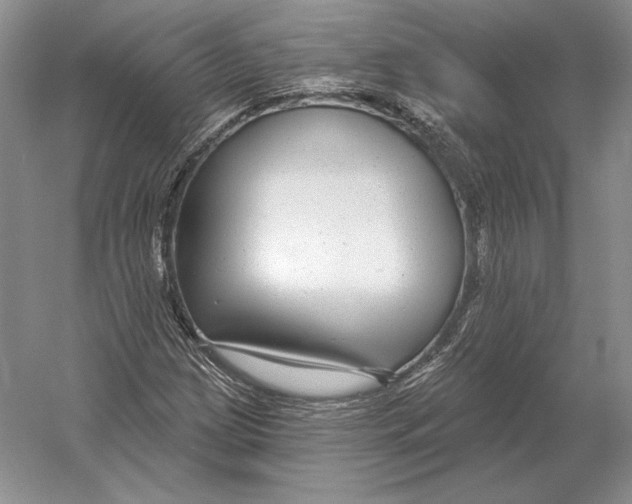 X0000052981209200508051032