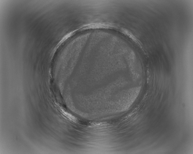 X0000052981213200508051032