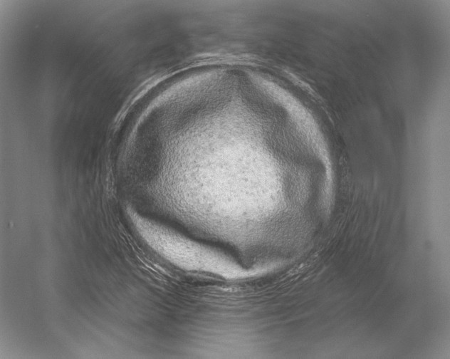 X0000052981215200508051032