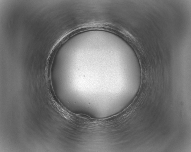 X0000052981216200508051032