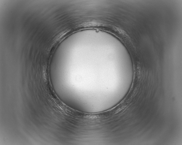 X0000052981217200508051032