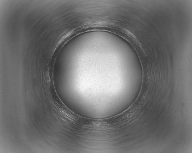 X0000052981218200508051032