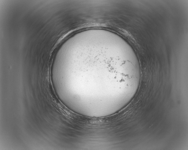 X0000052981220200508051032