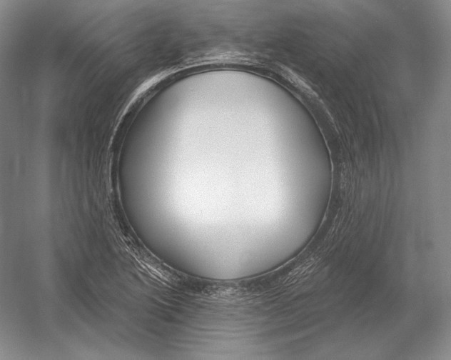 X0000052981222200508051032